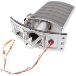 Cecilia Sala, L'Italia Chiede All'Iran Garanzie Sulla Detenzione E Il